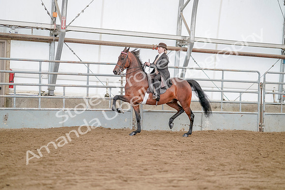 July 21, 2019 - 12072