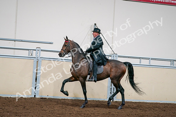 2020 - AB Morgan Horse - Sat, Sept 05 - 08134