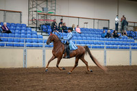 2020 - AB Morgan Horse - Sat, Sept 05 - 03309