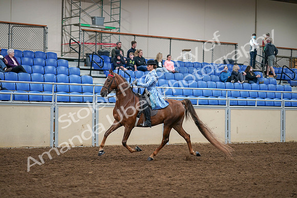 2020 - AB Morgan Horse - Sat, Sept 05 - 03309
