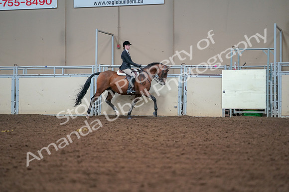 2019 Morgan Horse Show - Aug 30, 2019 - 20761