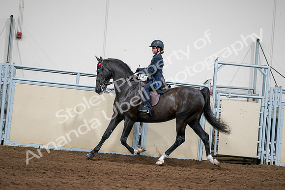 2020 - AB Morgan Horse - Fri, Sept 04 - 03251