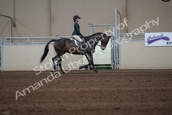 2019 Morgan Horse Show - Sept 01, 2019 - 03865