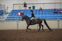 2019 Morgan Horse Show - Aug 30, 2019 - 27207