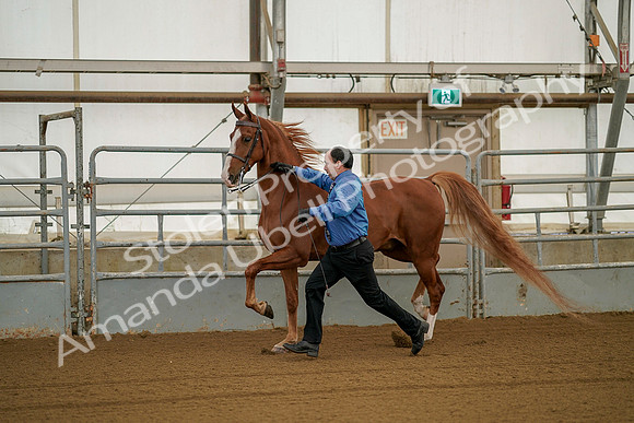 July 19, 2019 - 39