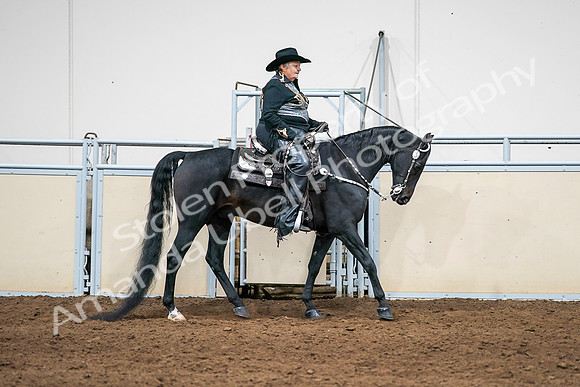 2020 - AB Morgan Horse - Sat, Sept 05 - 08950