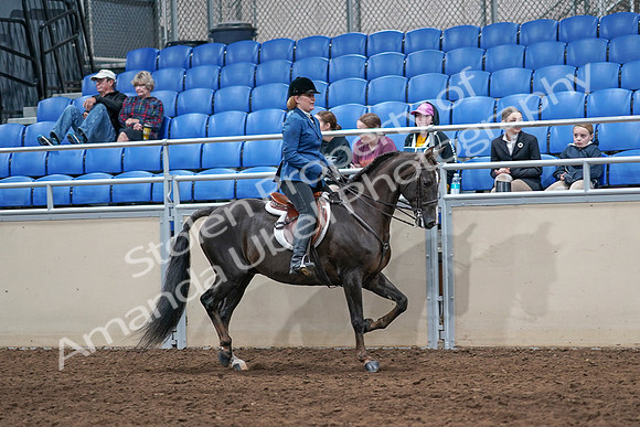 2020 - AB Morgan Horse - Sat, Sept 05 - 05090