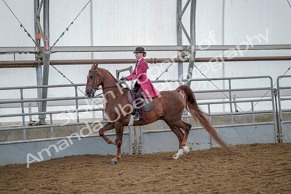 July 20, 2019 - 14495