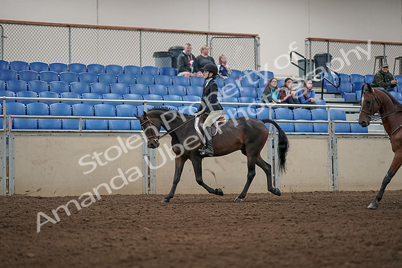2019 Morgan Horse Show - Aug 31, 2019 - 04923