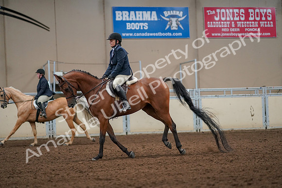 2019 Morgan Horse Show - Aug 30, 2019 - 22440
