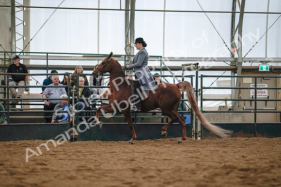 July 20, 2019 - 17014