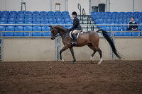 2019 Morgan Horse Show - Sept 01, 2019 - 08514