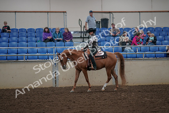 2019 Morgan Horse Show - Aug 30, 2019 - 26013