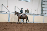 2020 - AB Morgan Horse - Sat, Sept 05 - 04955