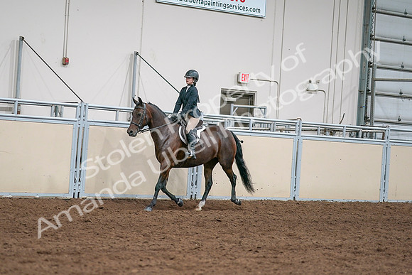 2020 - AB Morgan Horse - Sat, Sept 05 - 04955