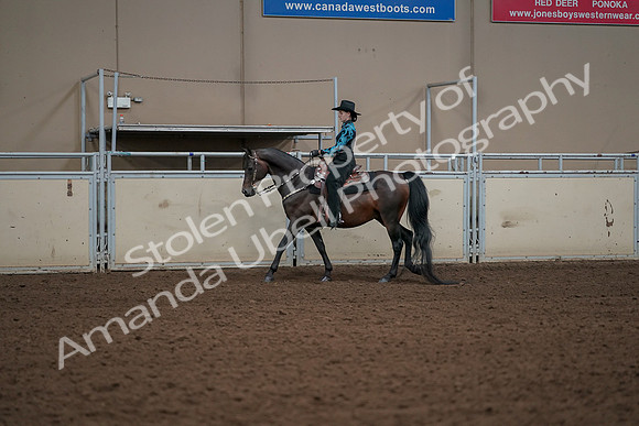 2019 Morgan Horse Show - Aug 30, 2019 - 26125