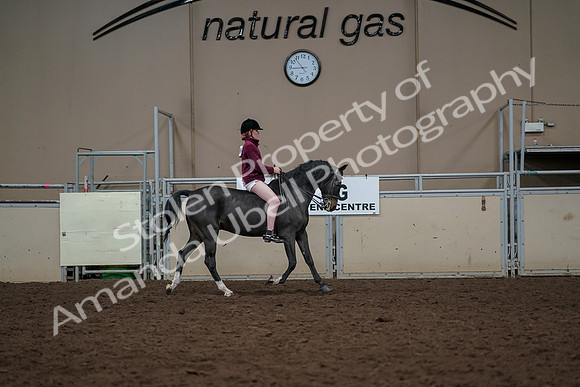 2019 Morgan Horse Show - Aug 30, 2019 - 31433