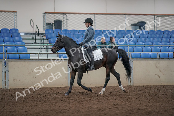 2019 Morgan Horse Show - Aug 31, 2019 - 07246