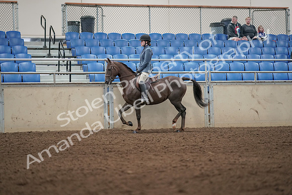 2019 Morgan Horse Show - Aug 31, 2019 - 04895