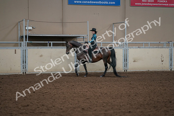 2019 Morgan Horse Show - Aug 30, 2019 - 26123