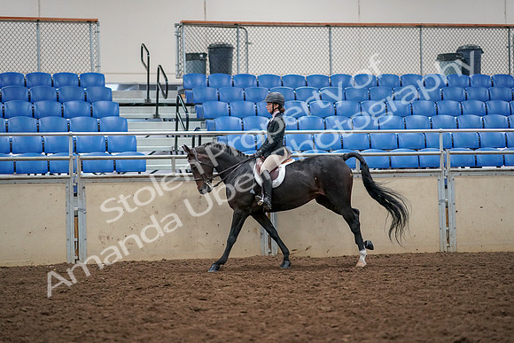 2019 Morgan Horse Show - Aug 30, 2019 - 23409