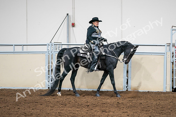 2020 - AB Morgan Horse - Sat, Sept 05 - 08947