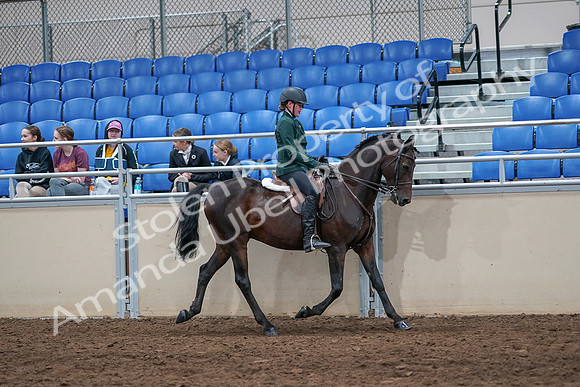 2020 - AB Morgan Horse - Sat, Sept 05 - 05161