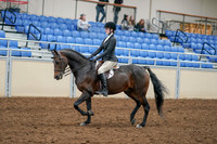 2020 - AB Morgan Horse - Sat, Sept 05 - 14213