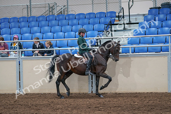 2020 - AB Morgan Horse - Sat, Sept 05 - 05164