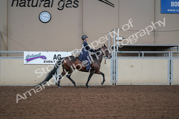2019 Morgan Horse Show - Aug 30, 2019 - 17963