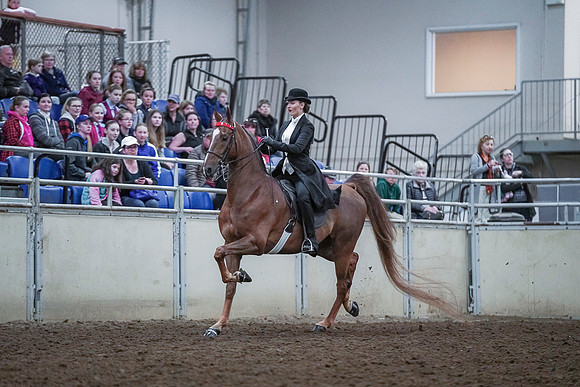 Spring Fling - Saturday - April 20, 2019  -  00498