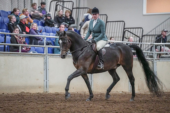 Spring Fling - Saturday - April 20, 2019  -  03771