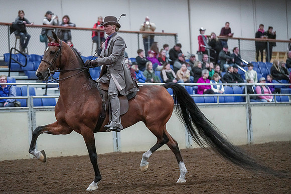 Spring Fling - Saturday - April 20, 2019  -  00446