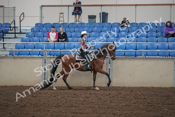 2019 Morgan Horse Show - Aug 30, 2019 - 26200