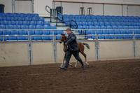 2019 Morgan Horse Show - Aug 31, 2019 - 00371