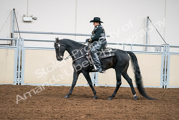 2020 - AB Morgan Horse - Sat, Sept 05 - 08907