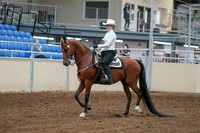 2020 - AB Morgan Horse - Fri, Sept 04 - 03473