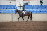 2019 Morgan Horse Show - Sept 01, 2019 - 03664