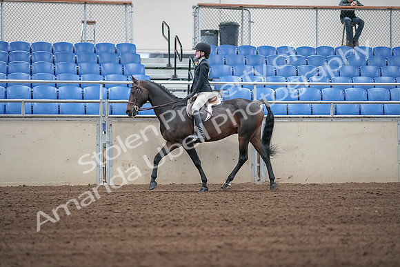 2019 Morgan Horse Show - Sept 01, 2019 - 03664