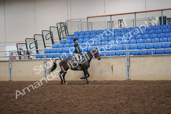 2019 Morgan Horse Show - Aug 30, 2019 - 12411