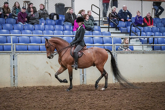 Spring Fling - Saturday - April 20, 2019  -  03781