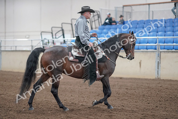 2019 Morgan Horse Show - Sept 01, 2019 - 07017
