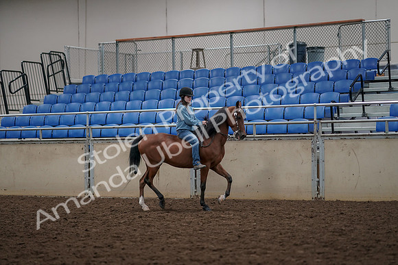 2019 Morgan Horse Show - Aug 30, 2019 - 31333