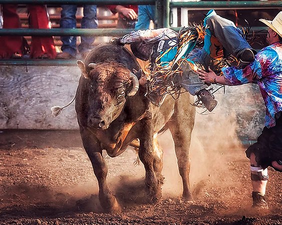 rodeo - 048