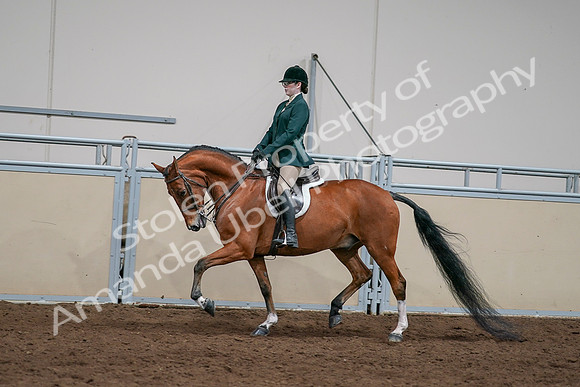 2020 - AB Morgan Horse - Sat, Sept 05 - 05023