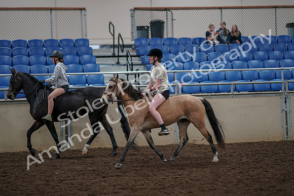 2019 Morgan Horse Show - Aug 30, 2019 - 31224