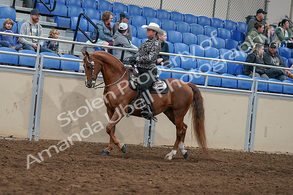 2020 - AB Morgan Horse - Sun, Sept 06 - 07498