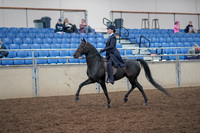Class 118 - Morgan Park Saddle Open