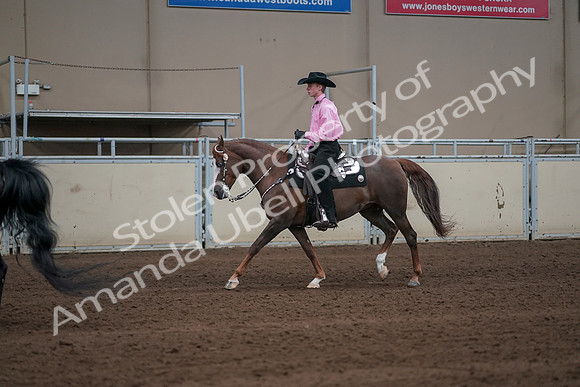 2019 Morgan Horse Show - Sept 01, 2019 - 06994