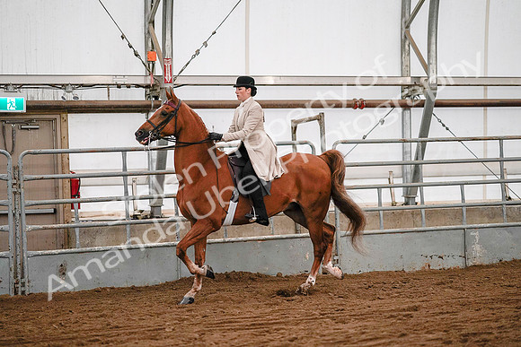 July 19, 2019 - 9025
